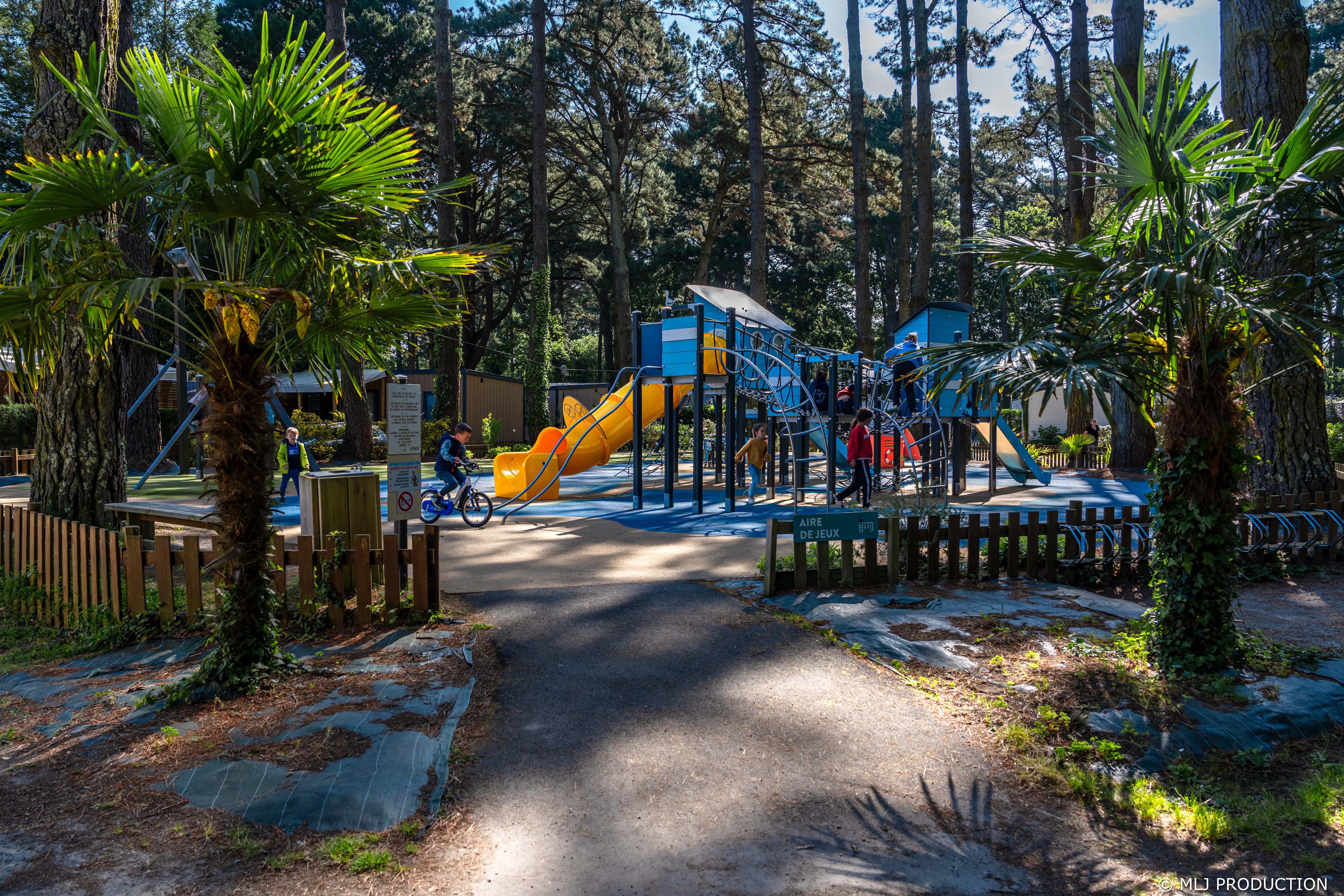 0013_A7405380-min.jpg