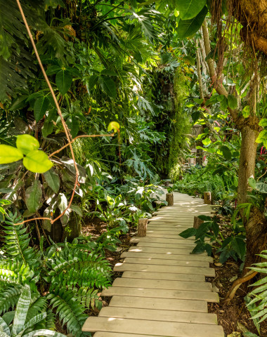 Terra_botanica_-_Parc_vegetal-AnjouTourisme-(c)Sebastien_GAUDARD-1920px_0.jpg