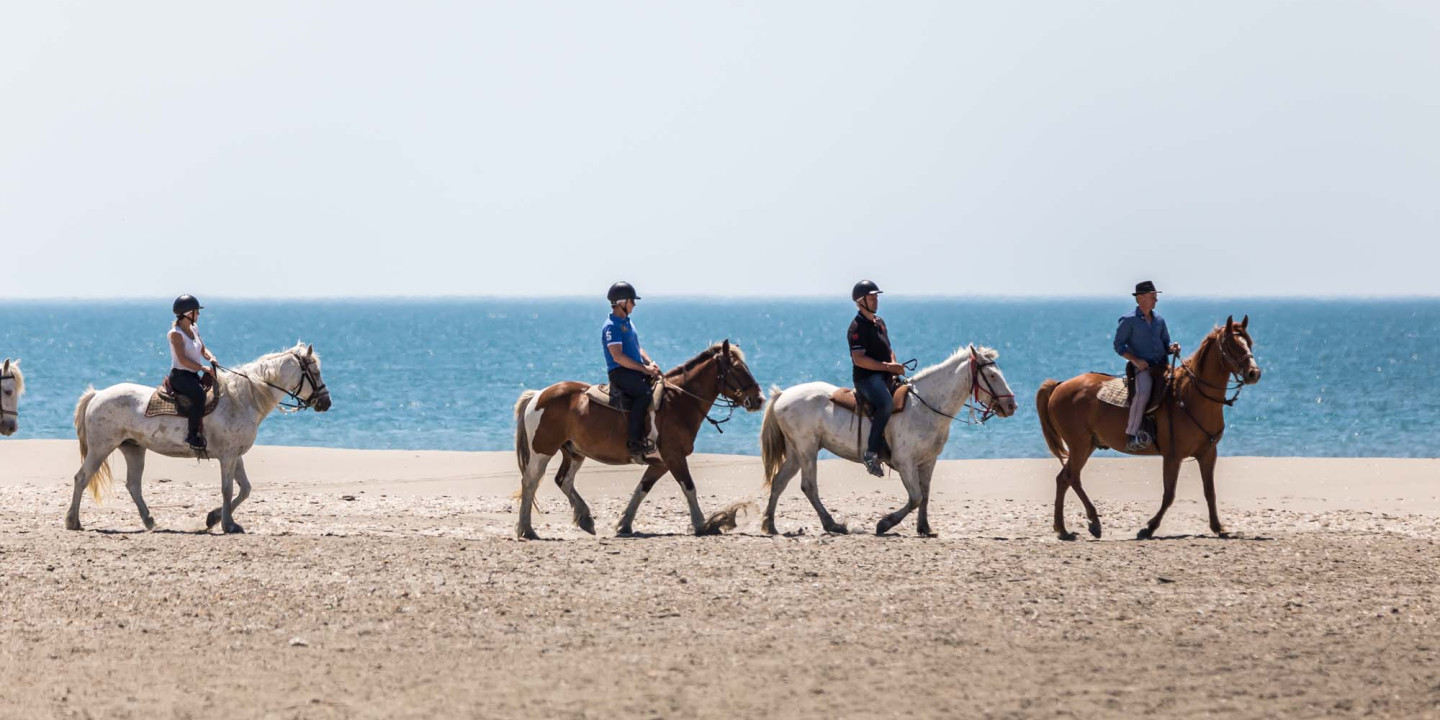 balade à cheval.jpg